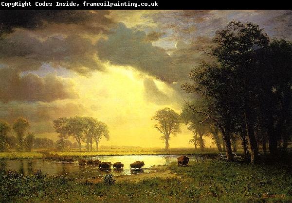 Albert Bierstadt The_Buffalo_Trail
